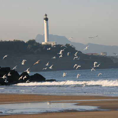 Bild vergrößern: Anglet - Blick auf den Leuchtturm von Biarritz