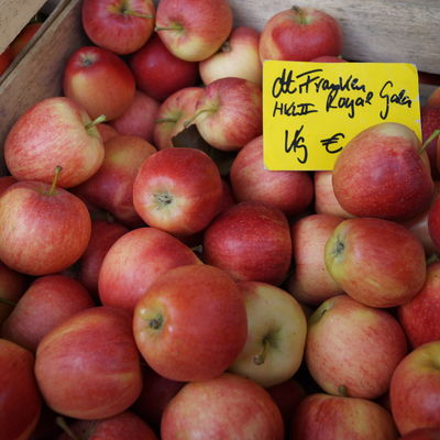 Bild vergrößern: Äpfel auf dem Wochenmarkt