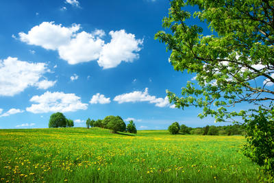 Bild vergr��ern: Umwelt & Natur