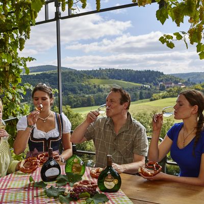 Bild vergrößern: Liebliches Taubertal_Wertheim - Weinprobe mit der Weinkoenigin im Satzenberg in Reicholzheim 