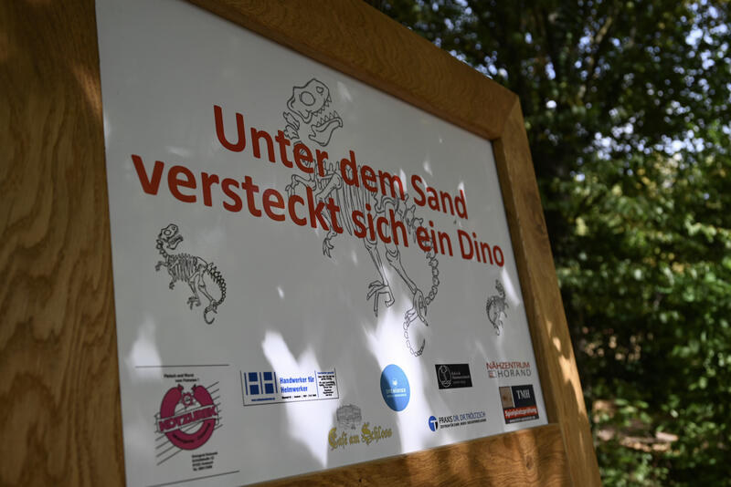 Bild vergrößern: Der Dinosaurier zum Selbstausgraben hat seine permanente Heimat im Ansbacher Hofgarten gefunden.