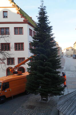 Bild vergr��ern: Weihnachtsbaum am Martin-Luther-Platz                          