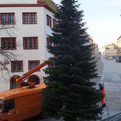 Weihnachtsbaum am Martin-Luther-Platz                          