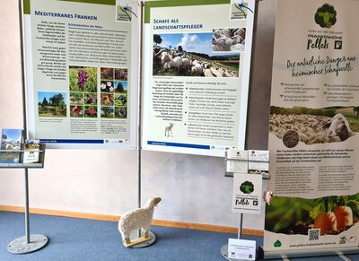 Bild vergr��ern: Wanderausstellung Sch�ferei auf der Frankenh�he