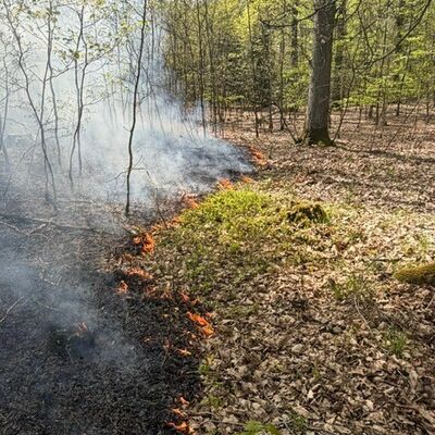 Bild vergr��ern: Waldbrand Bocksberg Ansbach