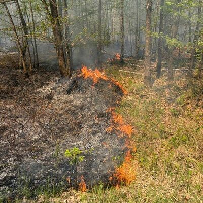 Bild vergr��ern: Waldbrand Bocksberg Ansbach