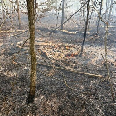 Bild vergr��ern: Waldbrand Bocksberg Ansbach